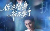【你这替身爷不要了】63集短剧高清资源在线独家播放