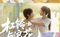 【杠铃与浪花】73集短剧在线免费畅看