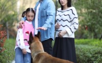 【养狗应有道】60集短剧，全集高清在线观看平台