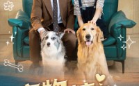 【宠物情人】42集短剧全集在线观看无广告