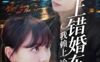 【上错婚车后我赖上冷酷谭爷】59集全集短剧在线免费看