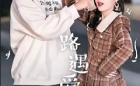 【路遇爱情】12集精彩短剧在线畅快观看