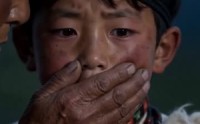 【藏寨熊影】43 集短剧全集免费在线赏