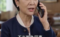 【借出去的信任收不回的车】68集免费短剧在线赏览