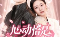 【心动恰是相逢时】80集短剧免费全集在线观映