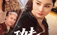 【功夫丈母娘】55集短剧免费全集赏映