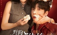 【野狗装乖！拿捏纨绔太子爷】80集短剧免费在线全集览
