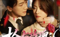 【枪与玫瑰：少帅的逃爱游戏】76集免费短剧完整版在线播放