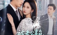 【被老公辜负，我转身改嫁搞事业】78集短剧免费在线观看完整版