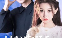 【蝴蝶溺于谎言之海】50集短剧高清资源，在线观看无限制