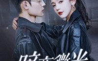 【暗夜微光】86集短剧全集在线观看无广告