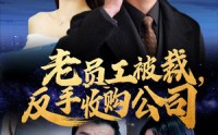 【老员工被裁反手收购公司】34集高清短剧全集在线流畅观看