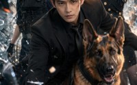 【警犬当的好好的，怎么重生了】61集短剧免费高清在线看