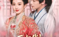 【医女我！专治不服】29集短剧完整版在线观看不卡顿