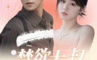 【禁欲大叔又甜又撩】94集短剧手机在线观看不卡顿