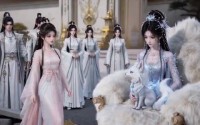 【捡神兽后成仙界团宠】51集在线免费看短剧全集