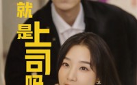 【不就是上司吗】80集高清短剧全集在线流畅观看