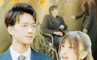 【落花时节再逢君】82集短剧在线观看，全集免费无广告