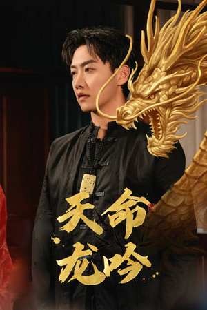 天命龙吟（48集）短剧追不停