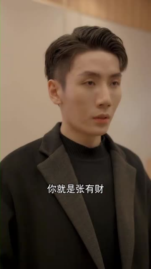 风云令（100集）番茄短剧看全集