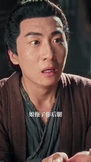 精忠报国（41集）无需会员免费看