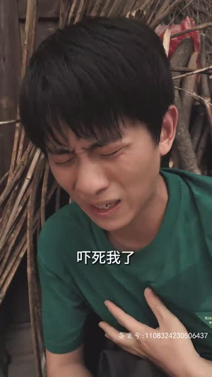我的1988（71集）免费在线看全集