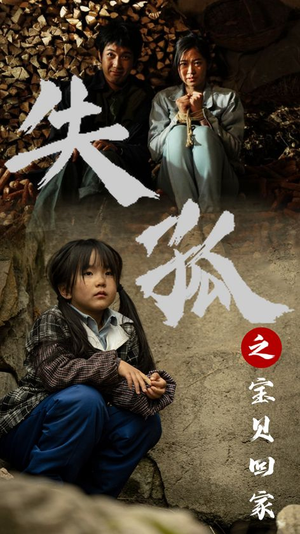 失孤之宝贝回家（71集）好看的短剧分享