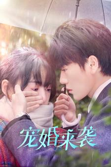 宠婚来袭（102集）看精彩短剧