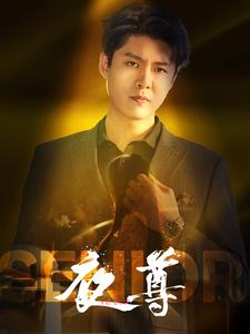 夜尊（95集）短视频追剧推荐