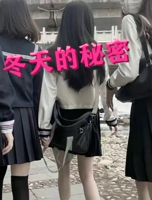 冬天的秘密（60集）经典老剧免费看