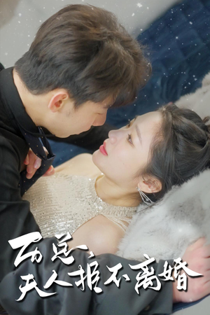 历总，夫人拒不离婚（61集）精彩短剧来了