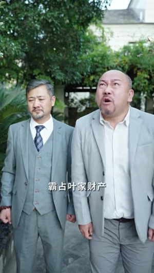 我的保镖很能打（90集）百度网盘资源