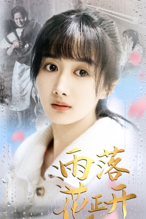雨落花正开（62集）免费在线看
