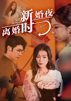 新婚夜，离婚时（35集）在线看