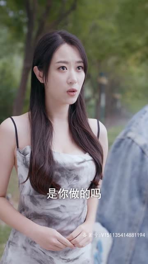 隐龙记 曹毅（70集）零花钱看整部剧