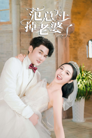 范总天上掉老婆了（78集）在哪个平台看好