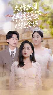 大婚当日伴娘婆婆惊艳全场（30集）一口气看完全集