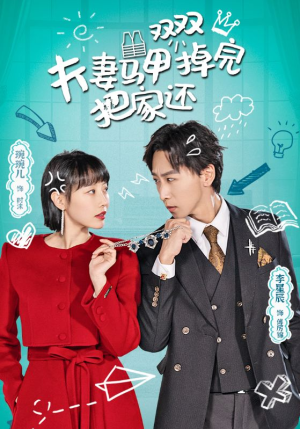 夫妻马甲双双掉完把家还（93集）全集