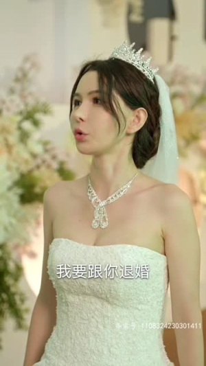 重生后我嫁给前夫宿敌（96集）在线看到大结局