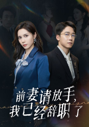 前妻请放手，我已经辞职了（30集）短剧热门合集