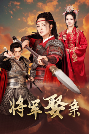 将军娶亲（36集）免费版