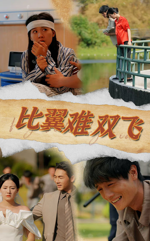 比翼难双飞（30集）好看上头的短剧