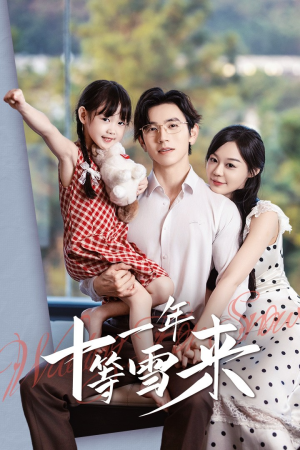 十一年等雪来（50集）短剧全集完整版