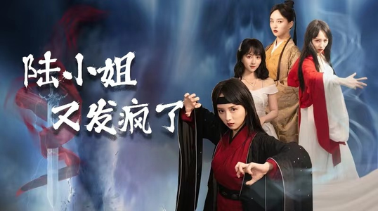 陆小姐又发疯了（28集）让你一口气看完