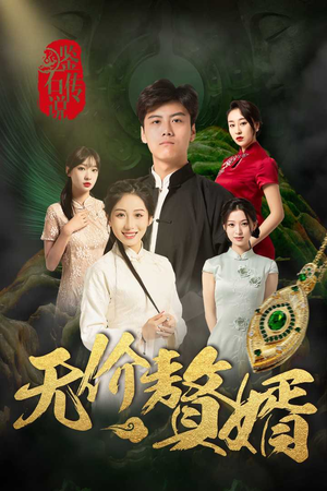 鉴宝传说之无价赘婿（100集）热门短剧推广