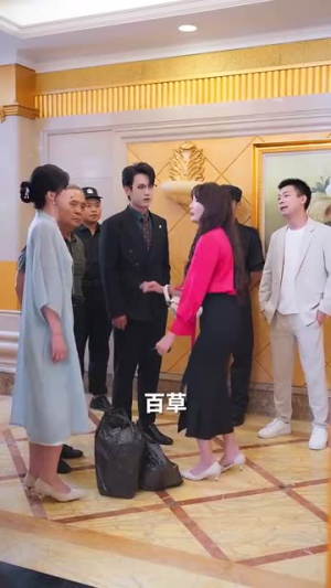总裁夫人从农村来给你撑腰了（80集）海量资源免费看