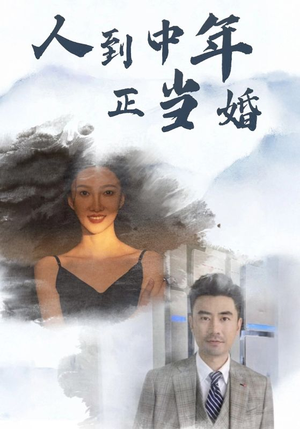 人到中年正当婚（81集）短剧太上头了