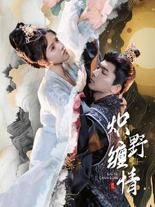 炽野缠情（95集）热播古装短剧