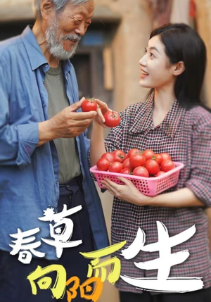 春草向阳而生（53集）在线观看