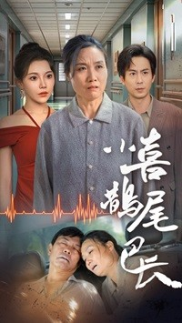 小喜鹊尾巴长（53集）上热门短剧